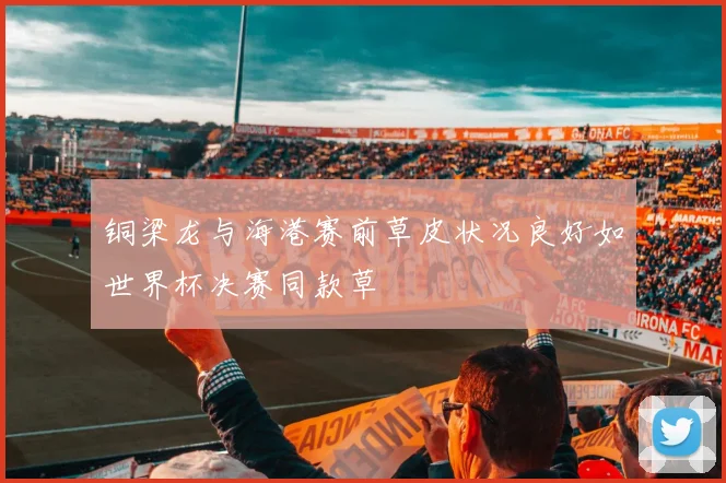 铜梁龙与海港赛前草皮状况良好如世界杯决赛同款草
